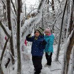 phoca_thumb_m_ledov krlovstv 2 3 Fotogalerie